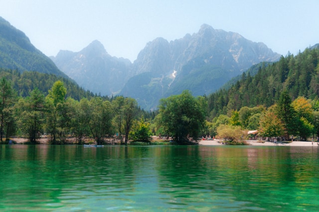 Vornastellix резултати